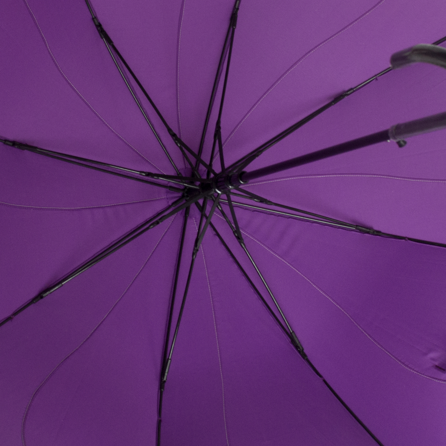 Everyday Swirl Stick Umbrella- Purple view from underneath the umbrella