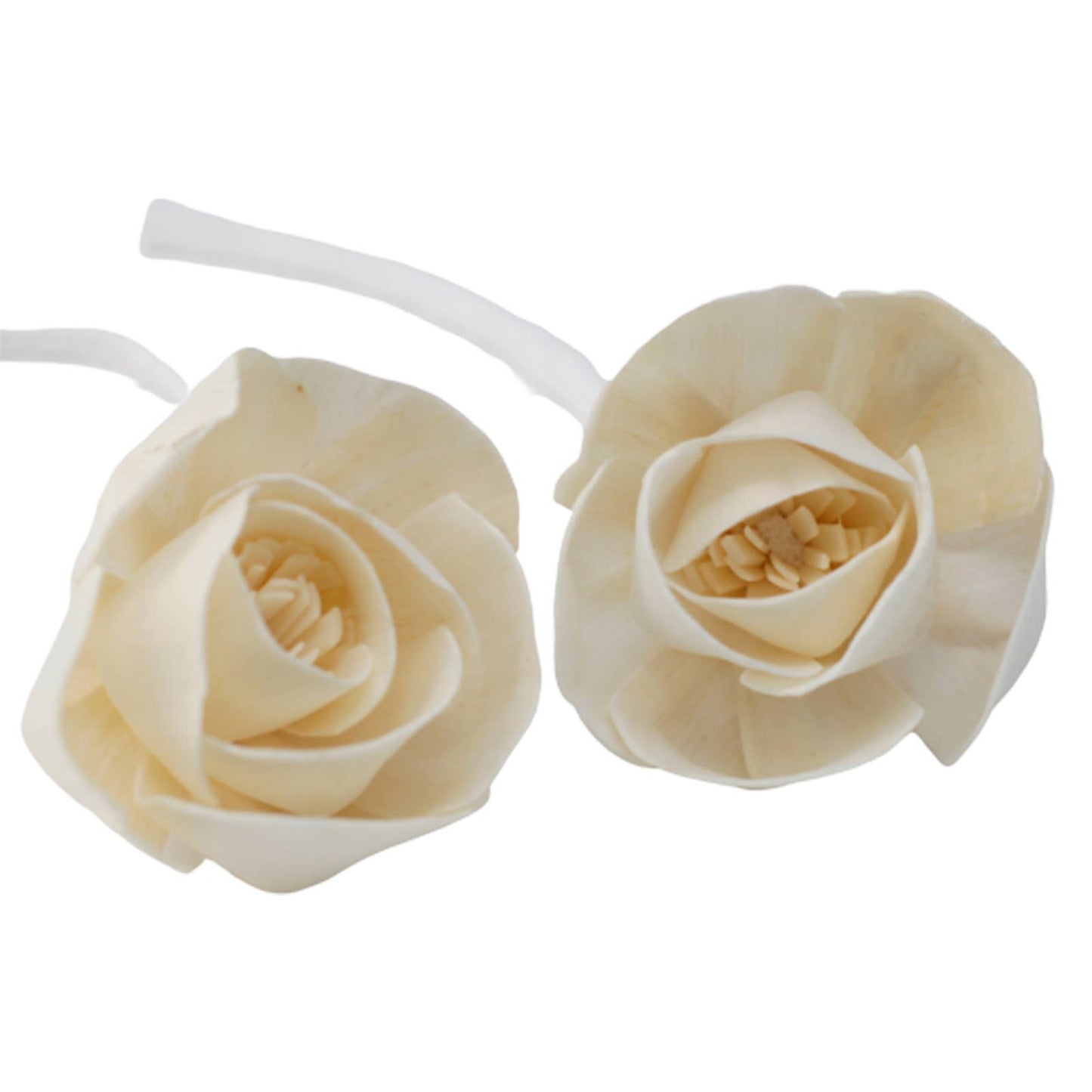 Pair of beige rose reed diffuser accessories on a white background