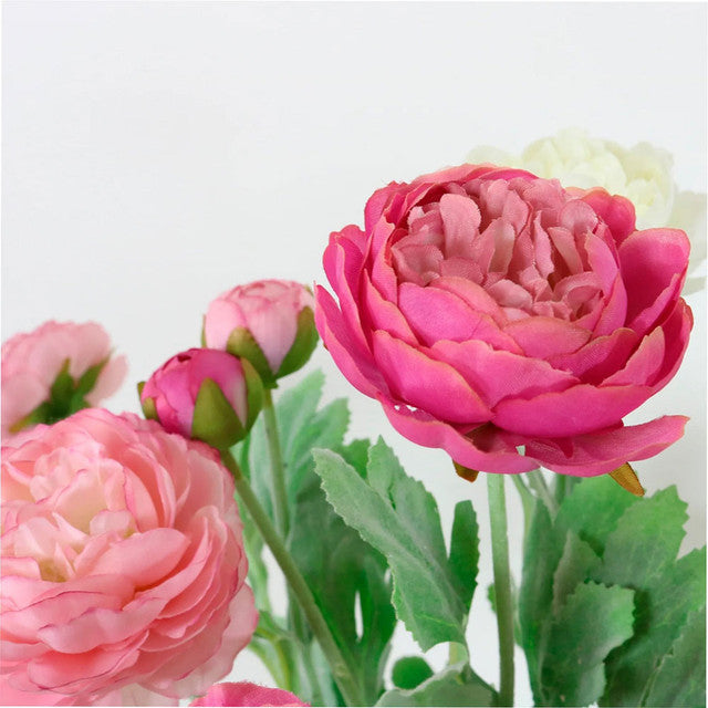 Close-up of pink flowers with green leaves on a light background