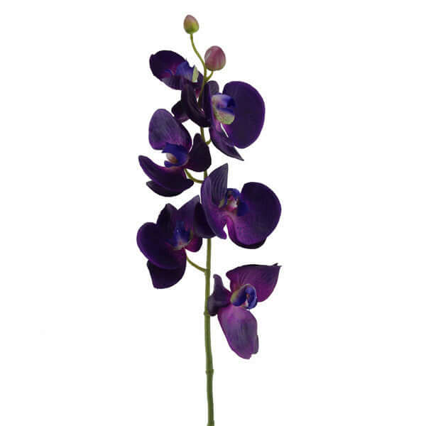 A single artificial purple orchid stem with several dark purple blooms and a few small buds, photographed against a plain white background.