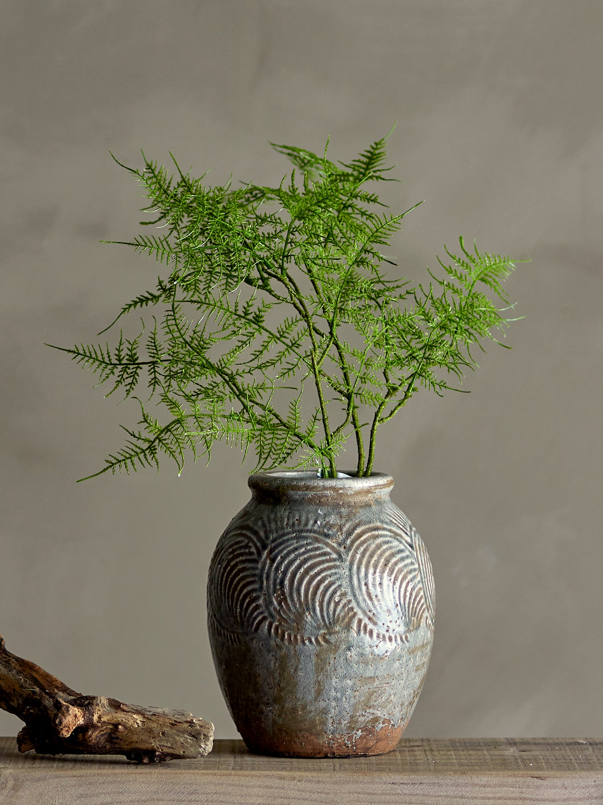 Decorative vase with ferns on a wooden surface against a plain background