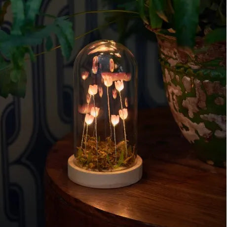 A decorative glass cloche lamp with glowing pink flower shapes inside, displayed on a wooden table next to a potted plant in a dimly lit interior setting.