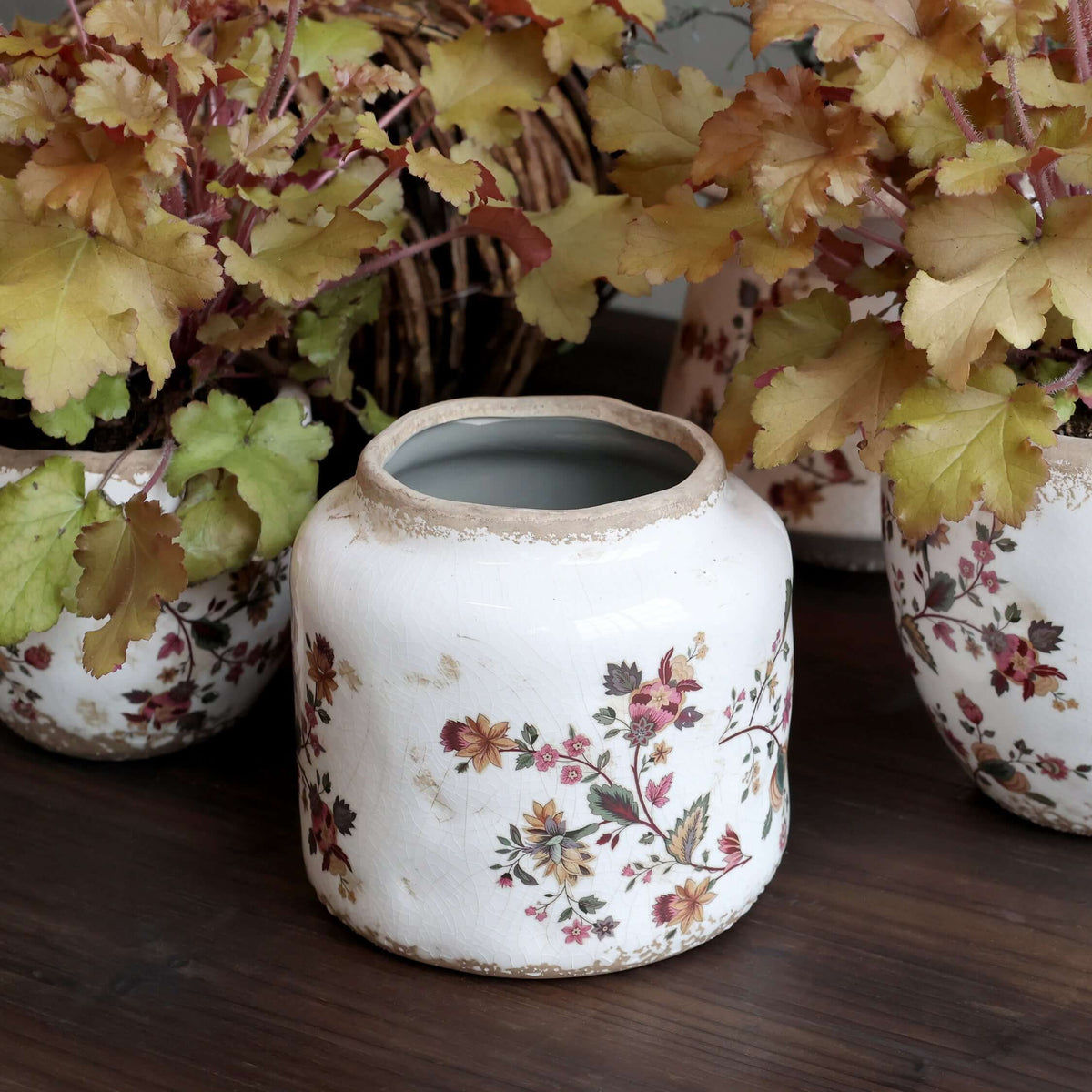 A vintage-style ceramic planter pot with a distressed white glaze and a delicate floral pattern, displayed on a dark wooden surface alongside other matching pots and leafy plants.