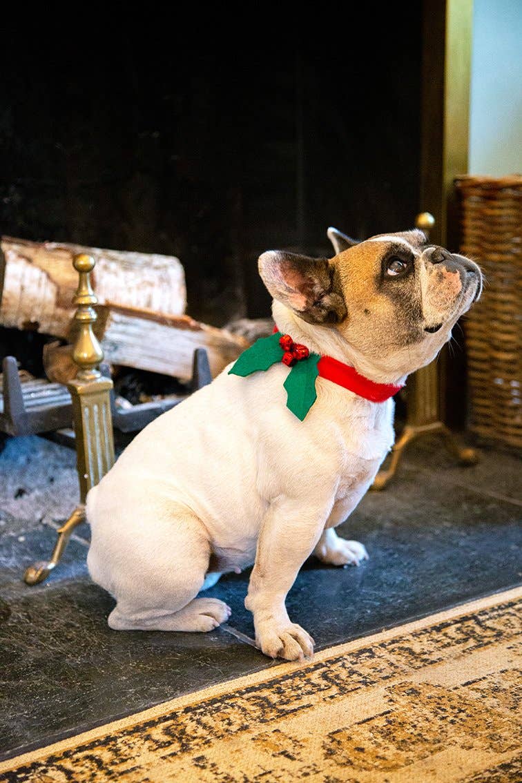 Dog wearing a festive collar with a bow in front of a fireplace.