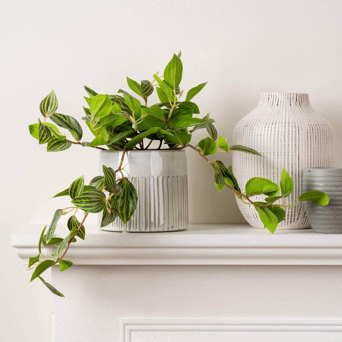 A green trailing houseplant in a ribbed light gray ceramic pot, styled on a white mantelpiece next to a white textured vase and a small gray pot against a white wall.