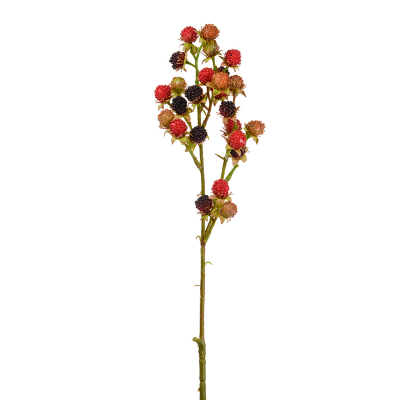 Artificial blackberry branch with red and black berries on a white background