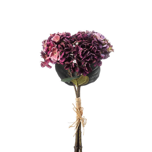 Hydrangea Bundle