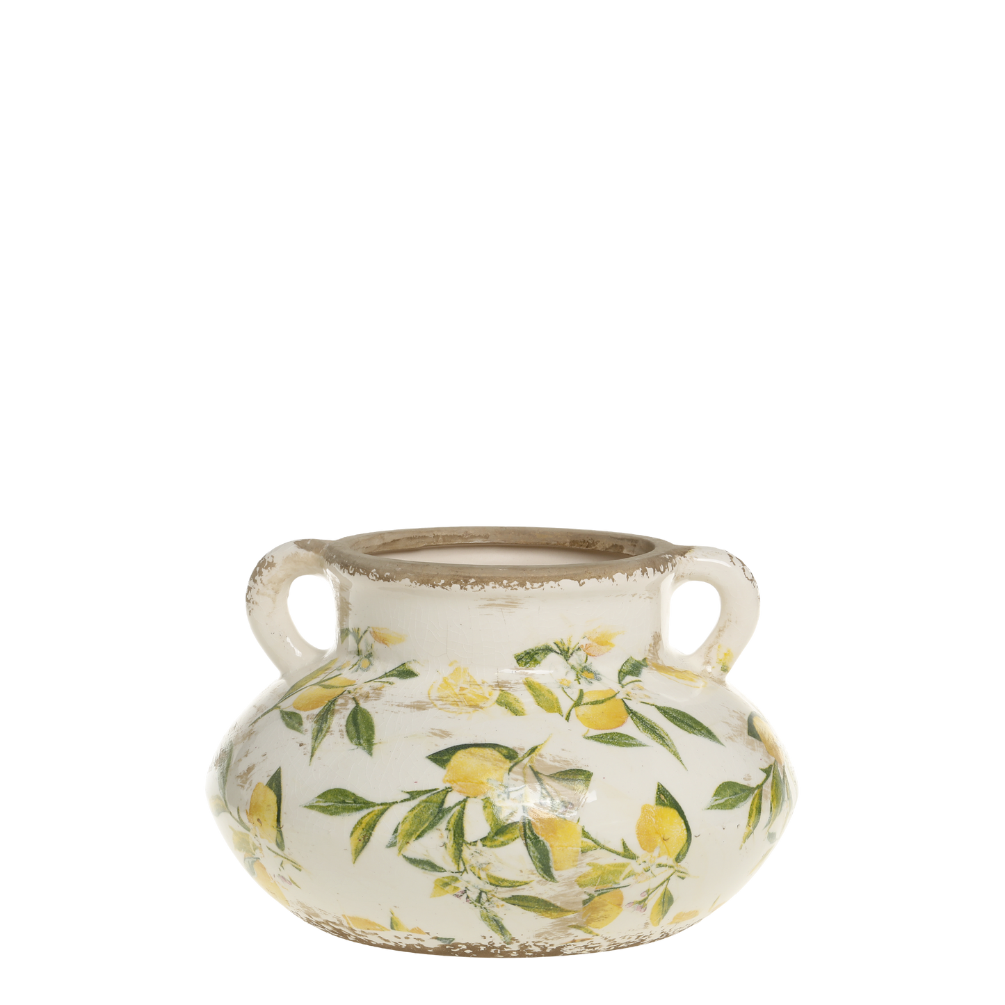 Ceramic vase with lemon pattern on a white background