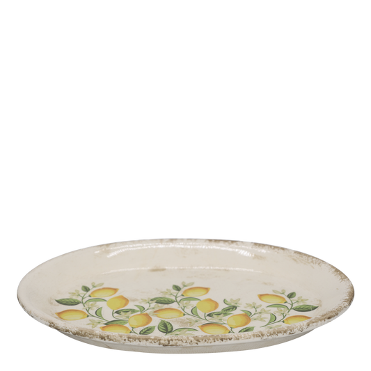 Ceramic plate with lemon design on a white background
