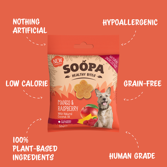 Package of Soopa Healthy Bites dog treats on an orange background with text highlighting features.