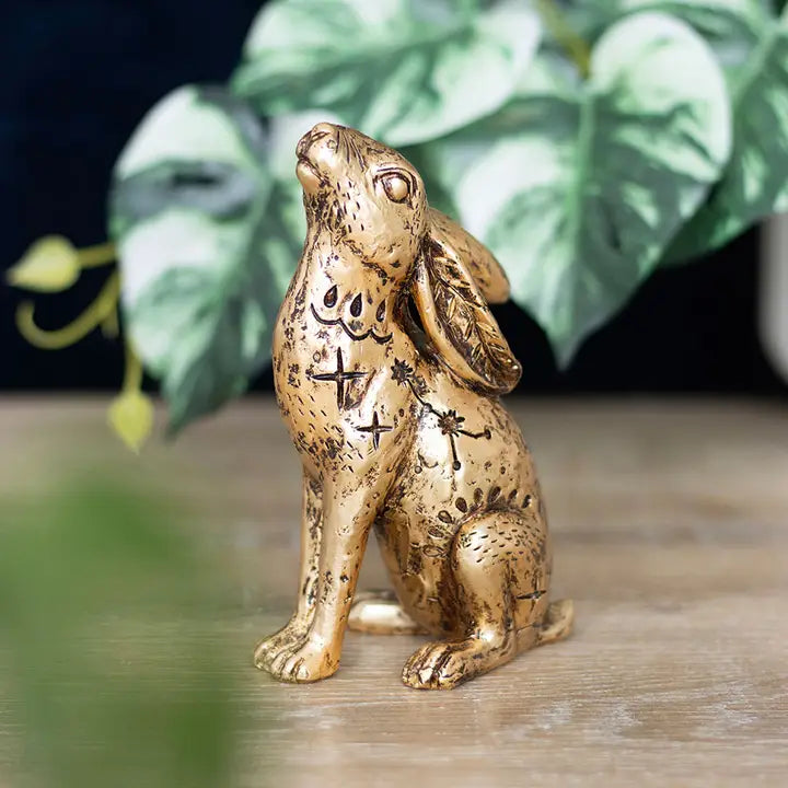 Midnight Hare