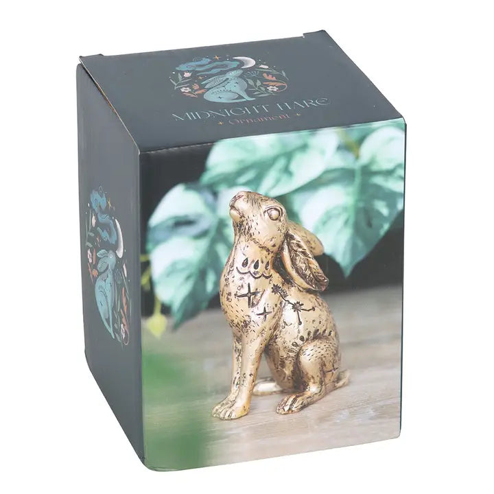 Midnight Hare