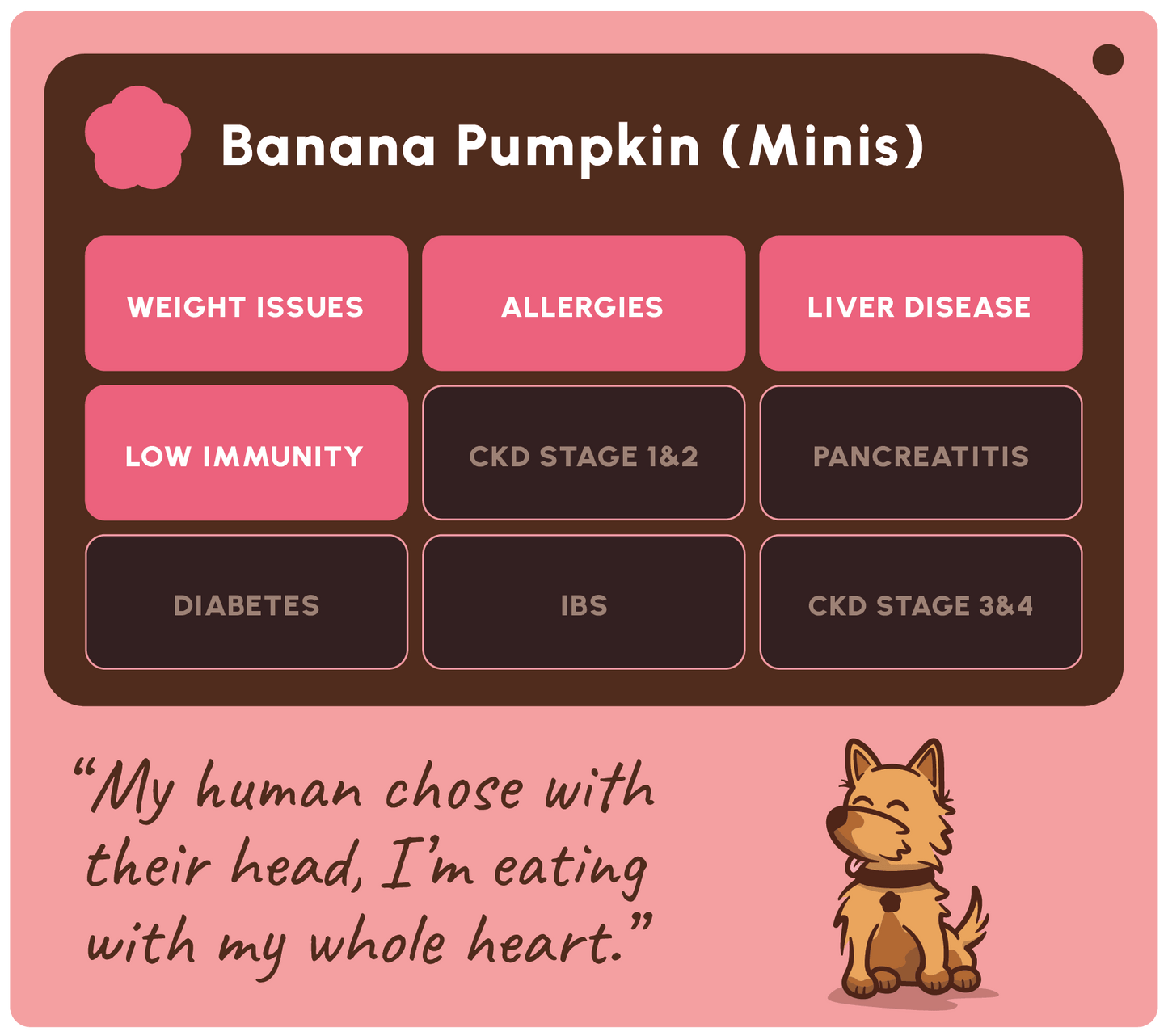 A pink and dark brown informational graphic titled 'Banana Pumpkin (Minis)' listing health conditions associated with the pet product, including weight issues, allergies, liver disease, low immunity, diabetes, IBS, CKD stage 1&2, CKD stage 3&4, and pancreatitis. A cartoon dog sits at the bottom next to a quote.