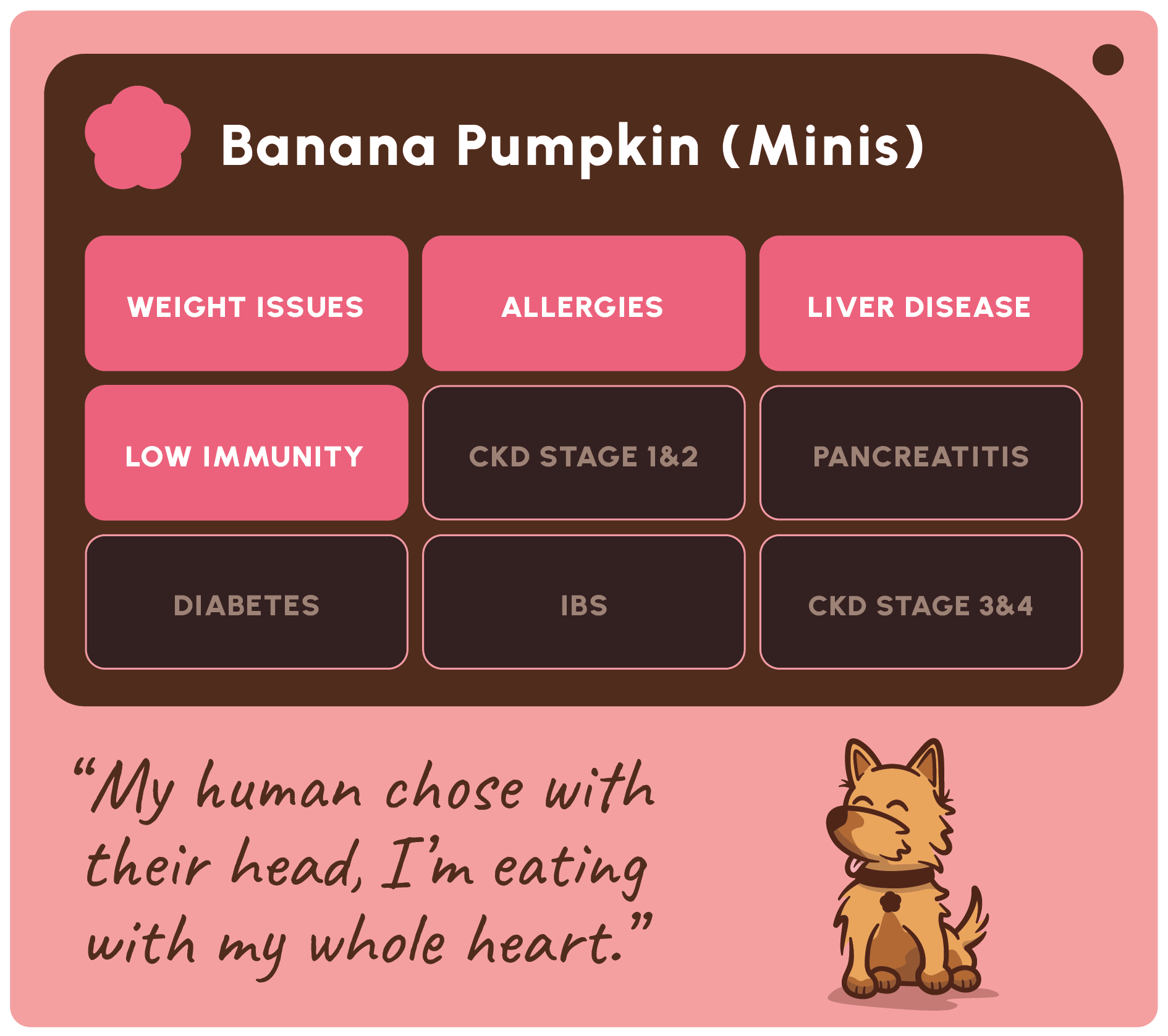 A pink and dark brown informational graphic titled 'Banana Pumpkin (Minis)' listing health conditions associated with the pet product, including weight issues, allergies, liver disease, low immunity, diabetes, IBS, CKD stage 1&2, CKD stage 3&4, and pancreatitis. A cartoon dog sits at the bottom next to a quote.