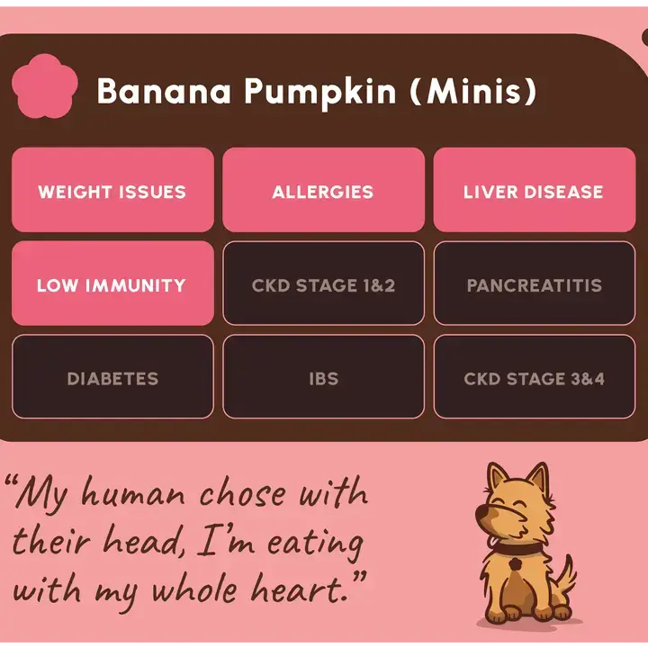 A pink and dark brown informational graphic for a pet supplement called Banana Pumpkin (Minis). The top section lists various health conditions such as weight issues, allergies, liver disease, diabetes, and kidney disease in pink and dark brown boxes.