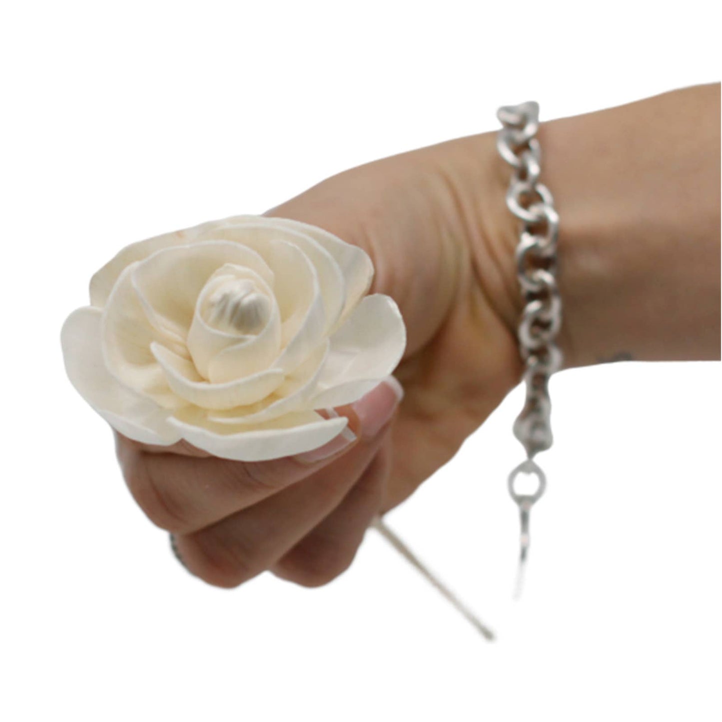 Hand holding a white rose with a chain bracelet on a white background