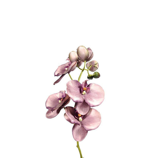 Orchid Vintage Purple