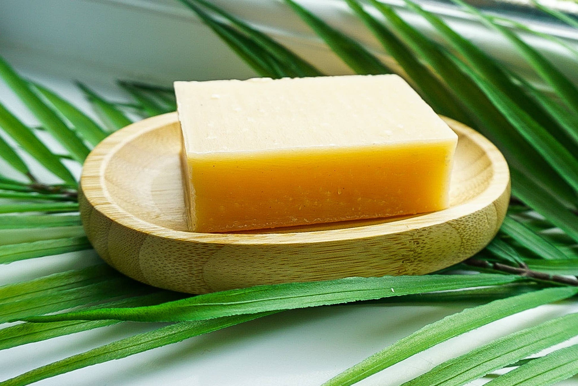 Bar of soap on a wooden soap dish with green leaves in the background