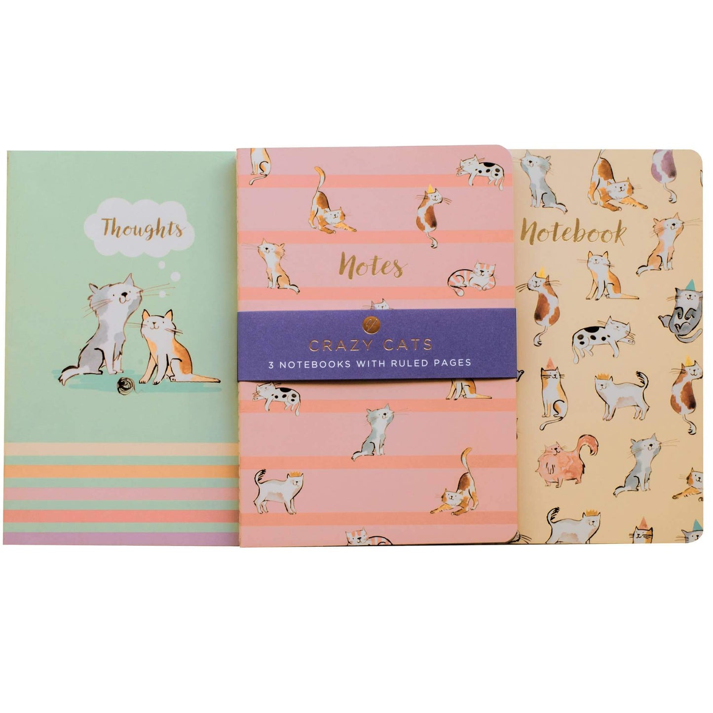 Set of three notebooks with cat illustrations on a white background