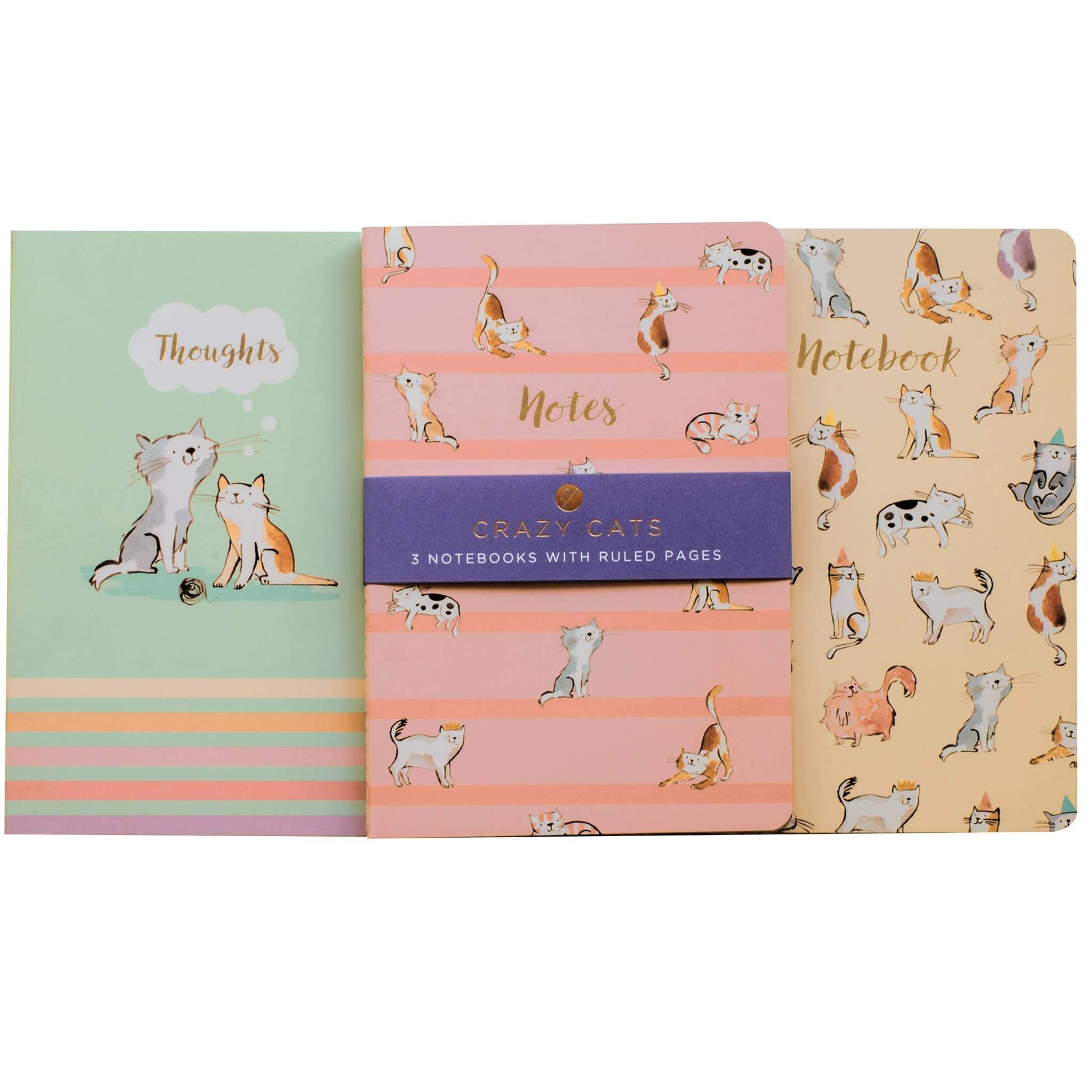 Set of three notebooks with cat illustrations on a white background
