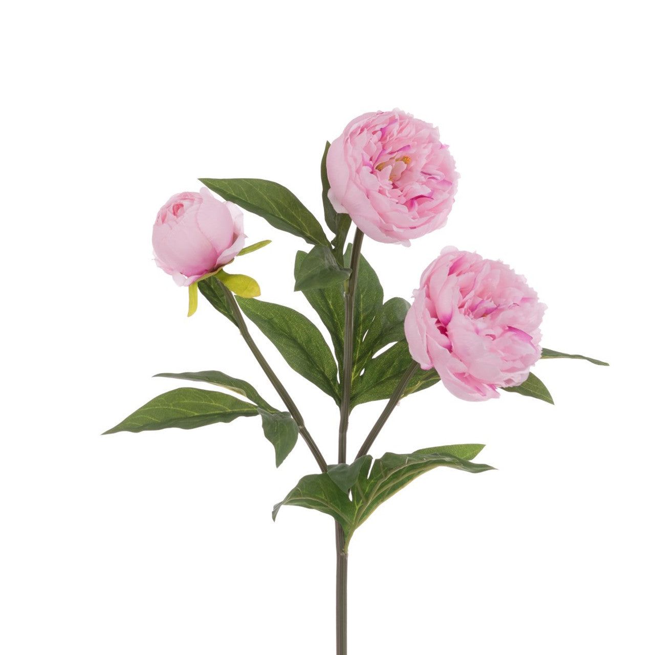 A synthetic peony spray with one fully open, one partially open, and one closed flower head, along with green foliage, on a stem.