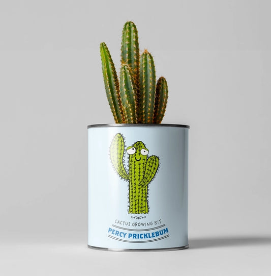 Percy Pricklebum Plant Kit