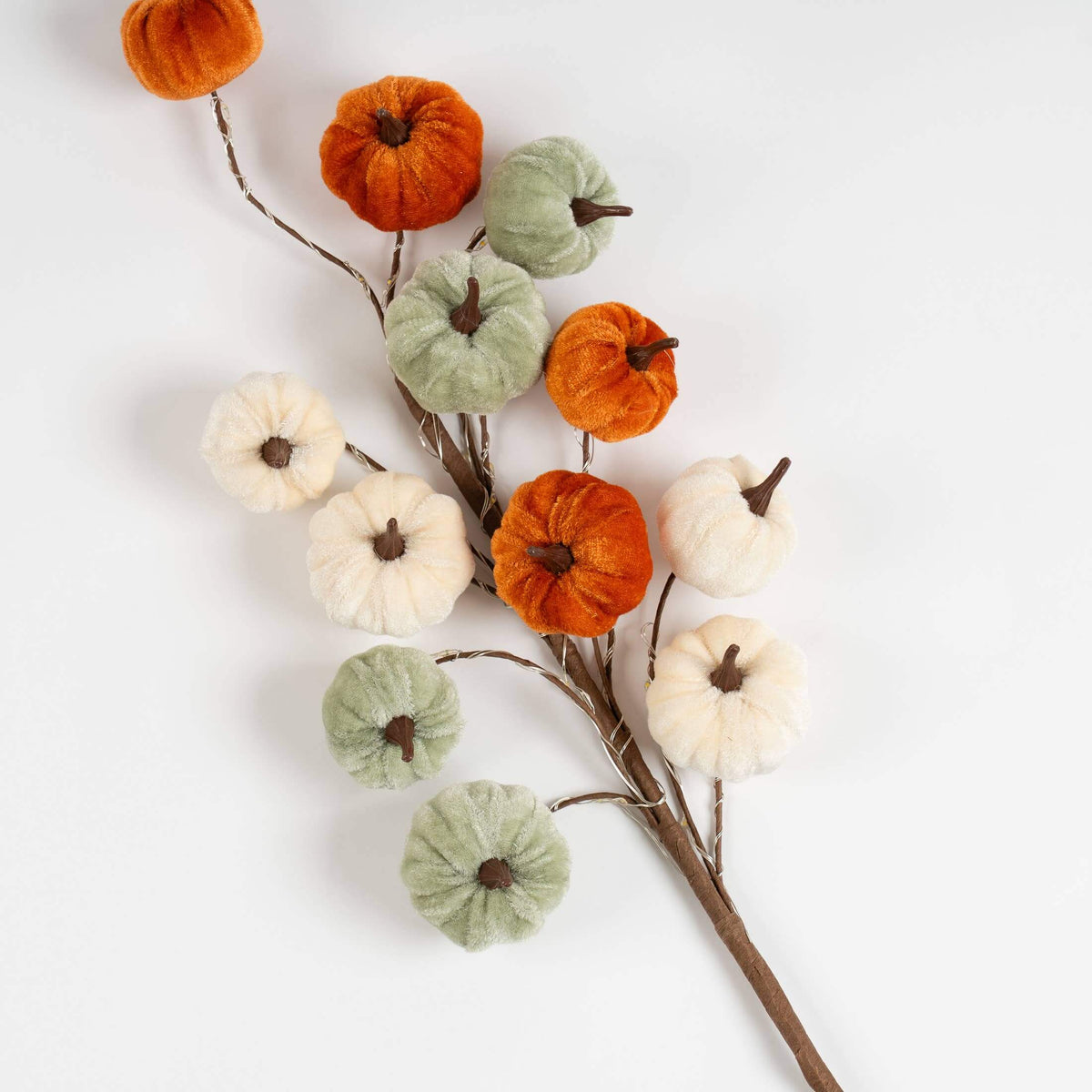 Autumn decorative branch with small velvet pumpkins in orange, sage green, and cream on brown stems, photographed on a clean white background.