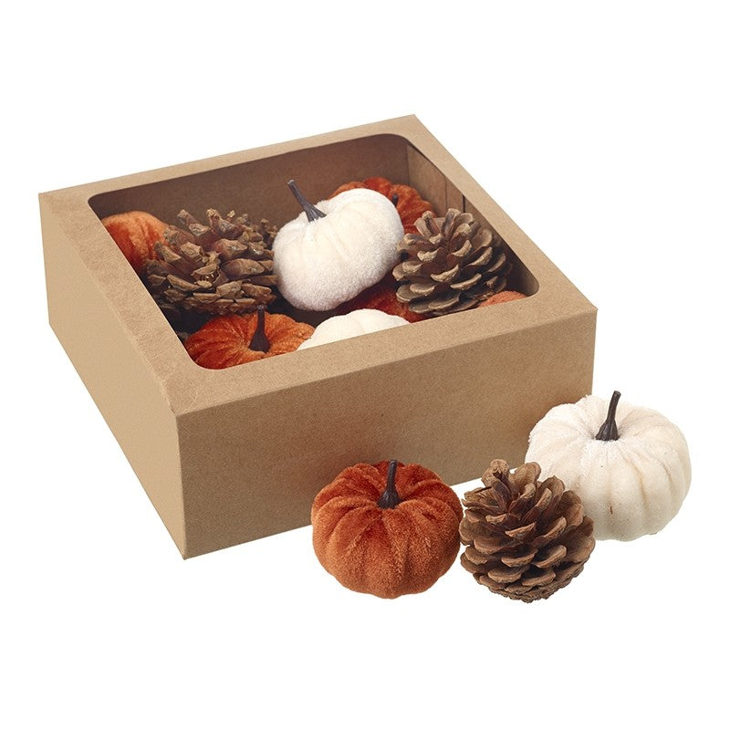 Decorative box with pumpkins and pinecones on a white background