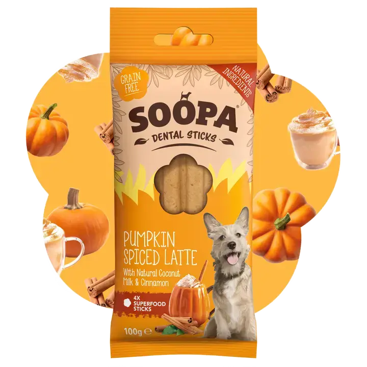 A package of Soopa Dental Sticks dog treats in the Pumpkin Spiced Latte flavor, shown against a circular orange background with pumpkins, cinnamon sticks, and a small dog illustration.