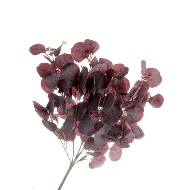 A cluster of dried round leaves in muted burgundy and dusty rose tones on a thin stem, isolated against a plain white background.