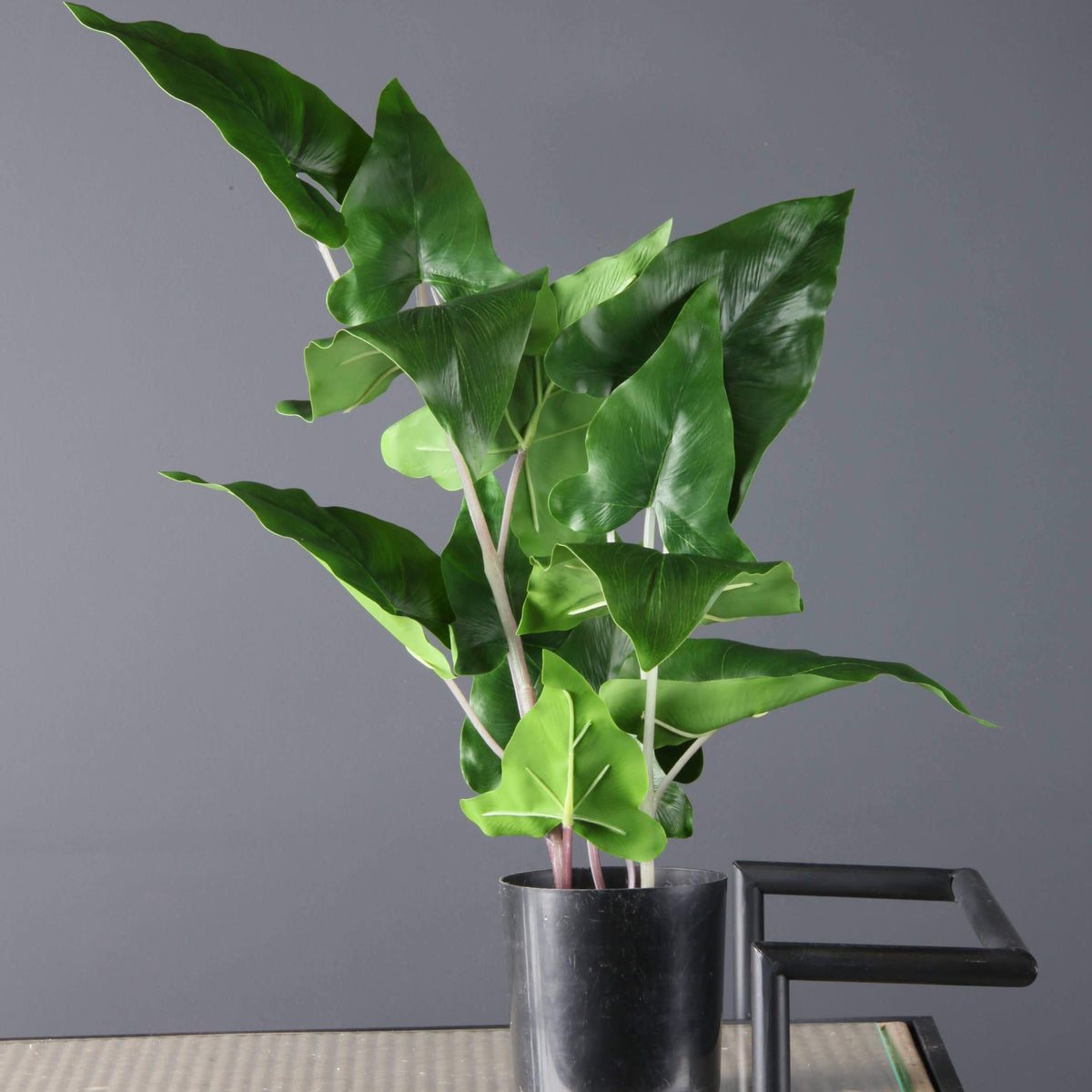 A potted artificial green plant with large glossy leaves in a black pot, displayed on a black metal shelf against a solid gray background.
