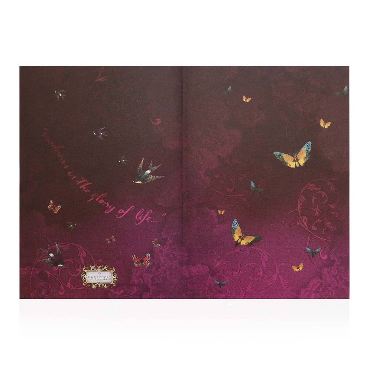 Decorative book with butterfly illustrations on a dark background