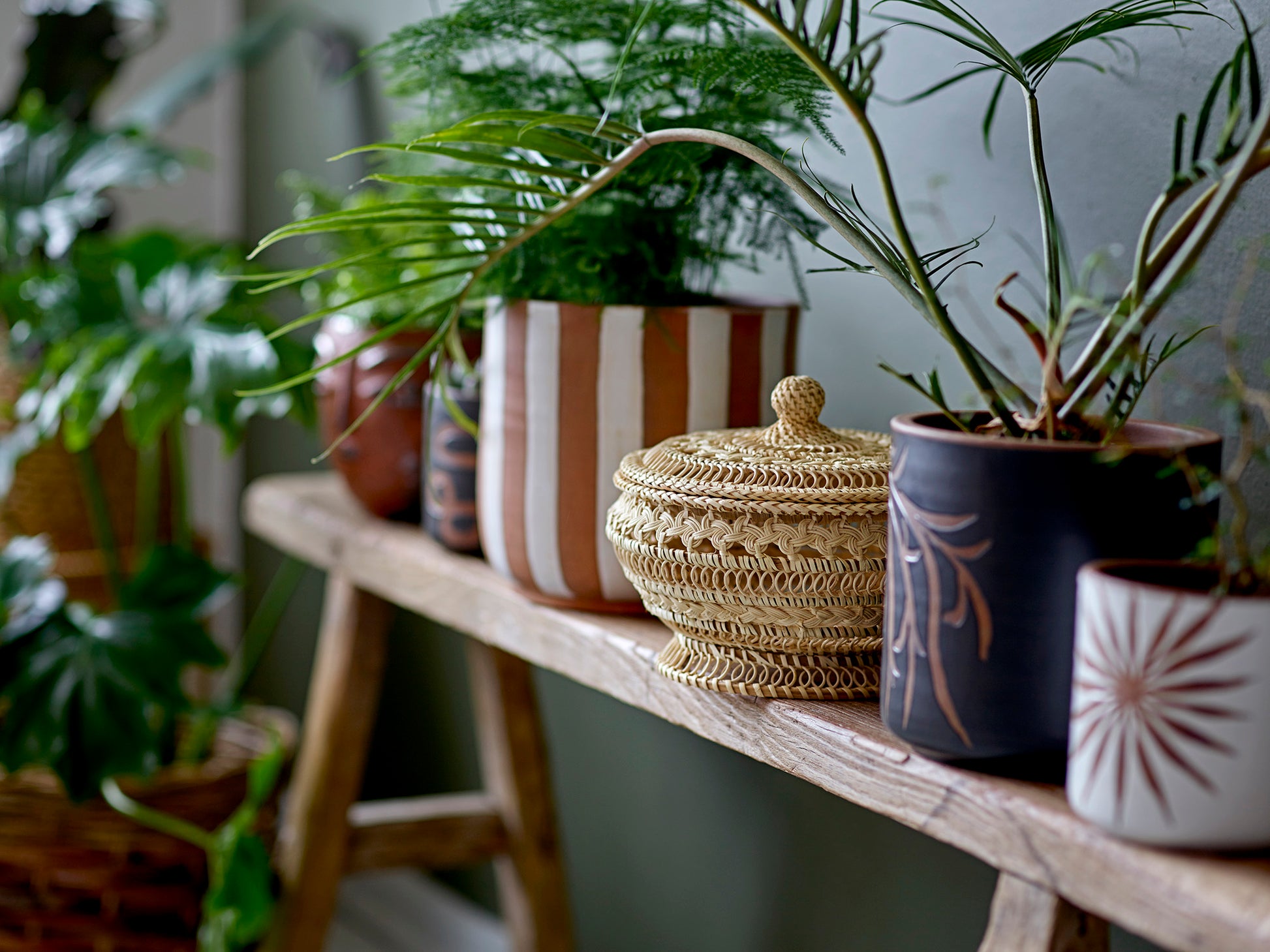 Decorative shelf with potted plants and a woven basket against a neutral wall.