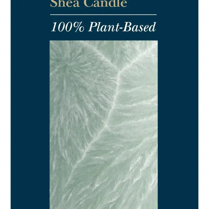 A product label or package design for a Shea Candle, featuring the text 'Shea Candle' and '100% Plant-Based' in white and gold lettering on a dark teal background, with a central square image of pale greenish-white textured shea fibers.