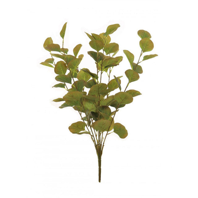Artificial eucalyptus branch on a white background