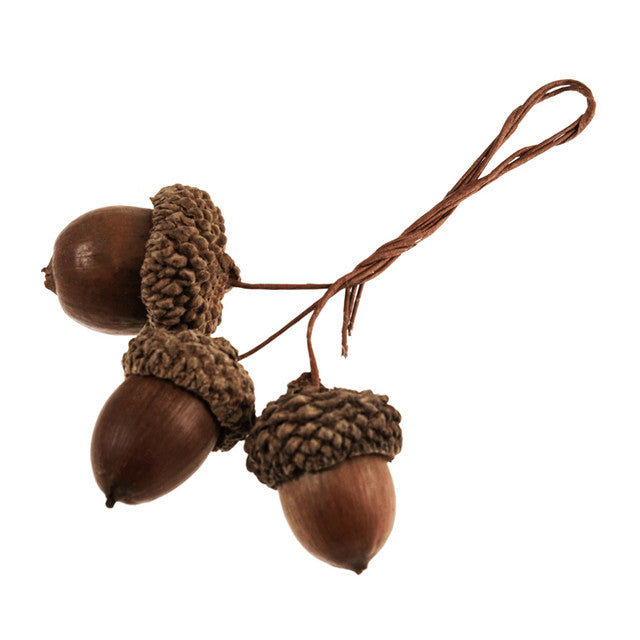 Decorative acorns with a string on a white background