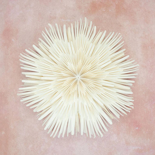 A white paper wall decoration with a sunburst design, displayed on a pink background.