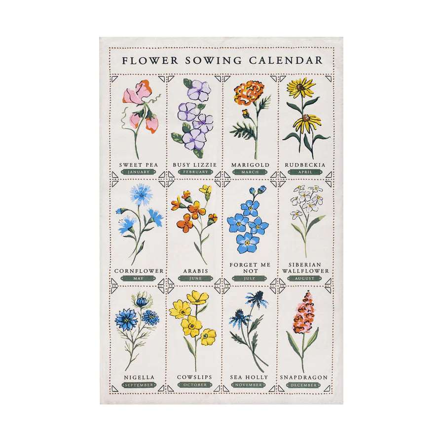 Flower sowing calendar with illustrations of various flowers on a white background