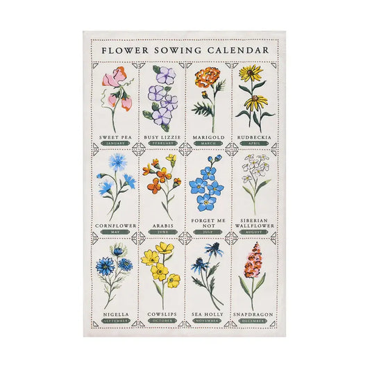 Flower sowing calendar with illustrations of various flowers on a white background