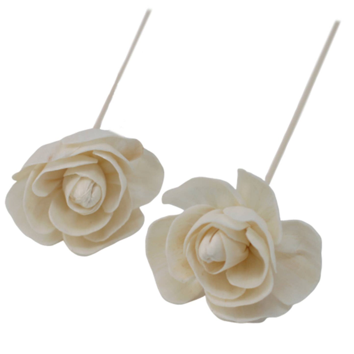 Pair of  Natural Diffuser Flowers - Rose on Reed on a white background