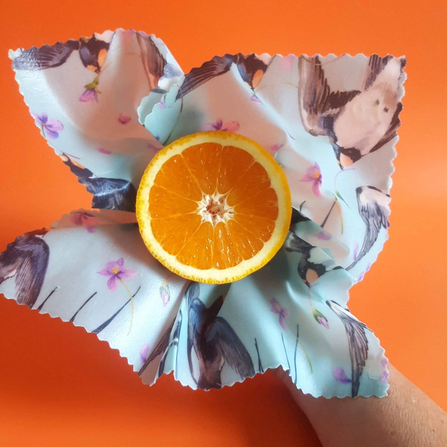 Hand holding a wax wrap with fruit