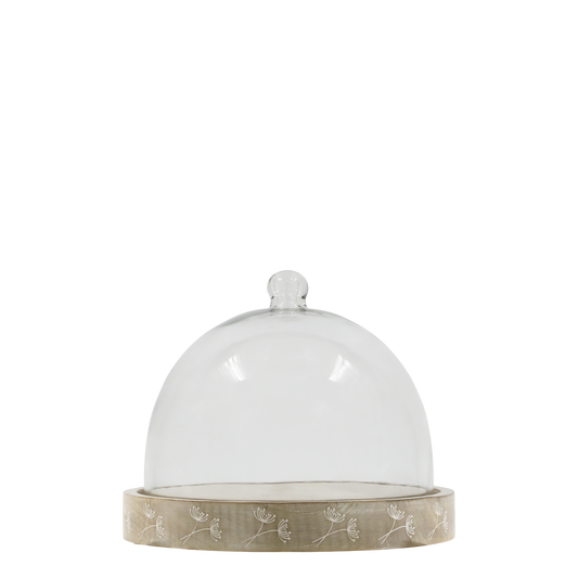 Clear glass cloche with beige base on a white background