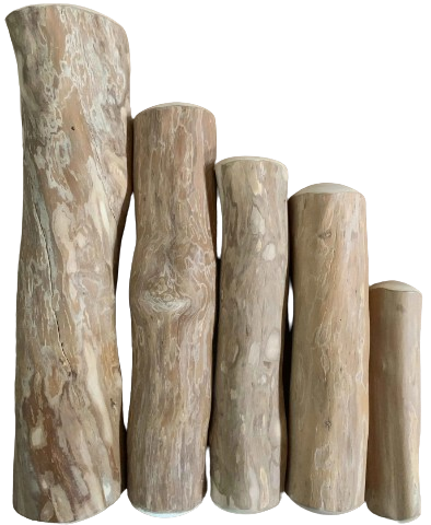 Set of five wooden dog chew toys with natural bark texture on a white background
