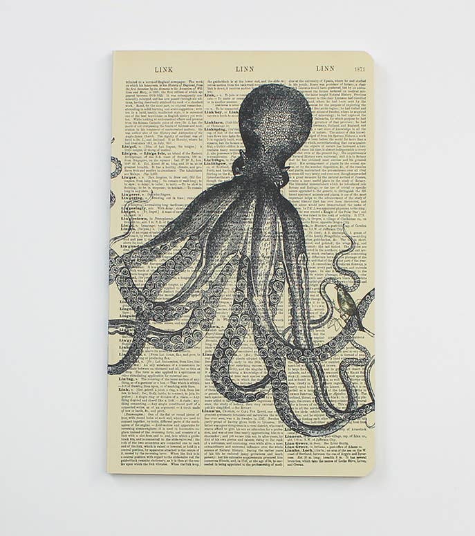 Octopus Notebook