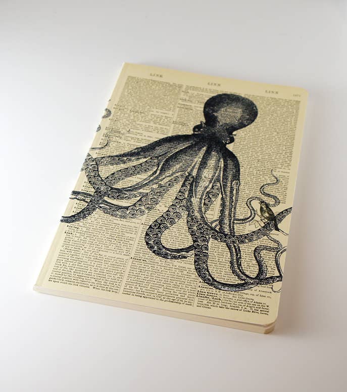 Octopus Notebook