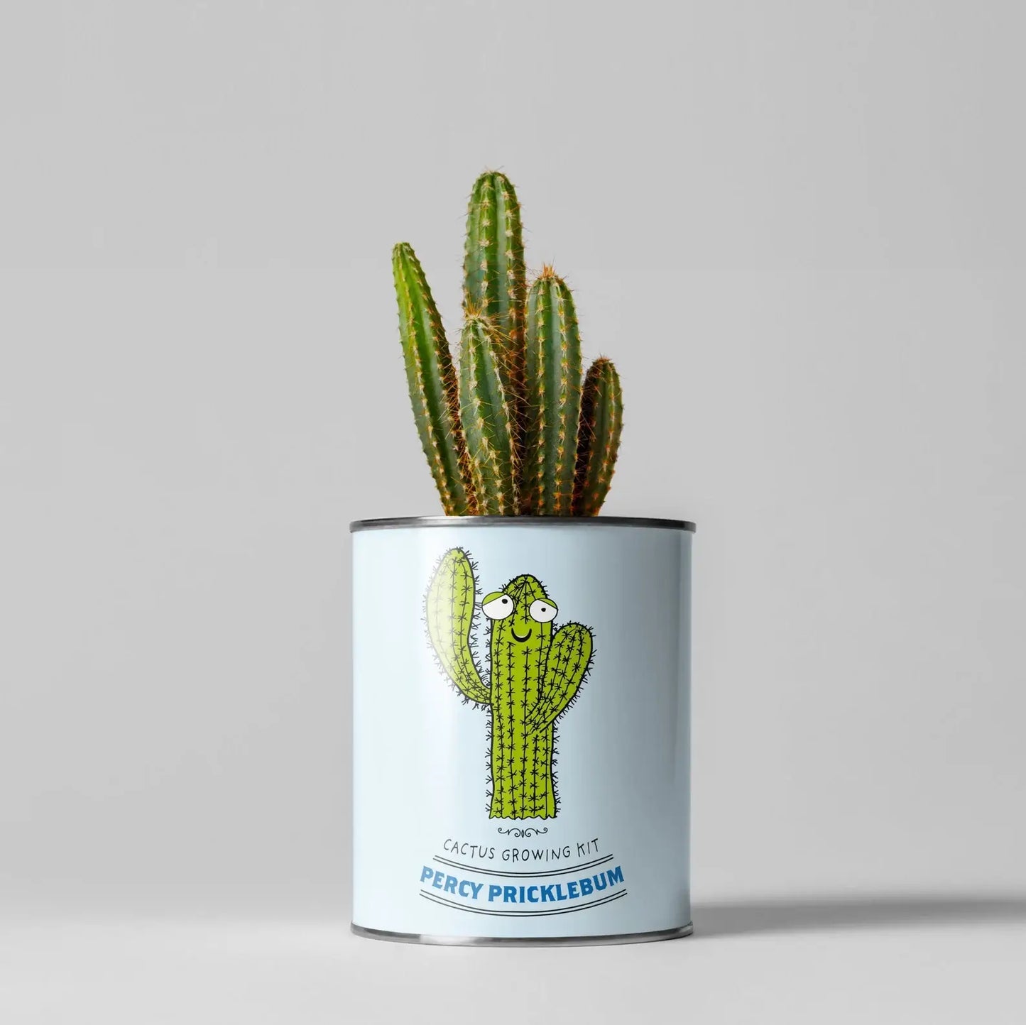 Mr Pricklebum Cacti.