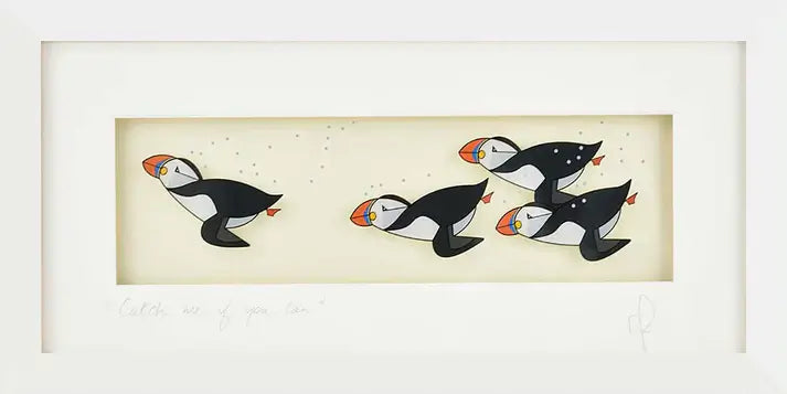 Image of swimming puffins