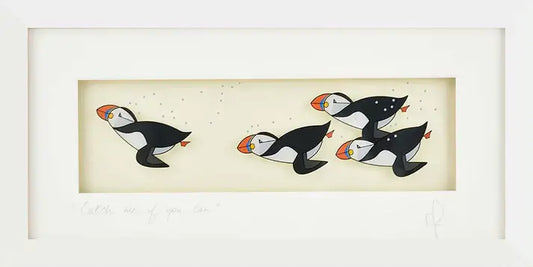 Image of swimming puffins