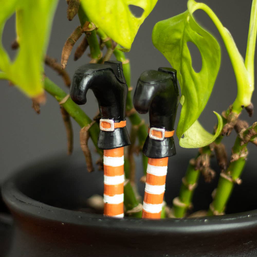 Set of 2 Witch Leg Plant Pot Ornaments with orange and white stripped legs and black boots. Front view in plant pot