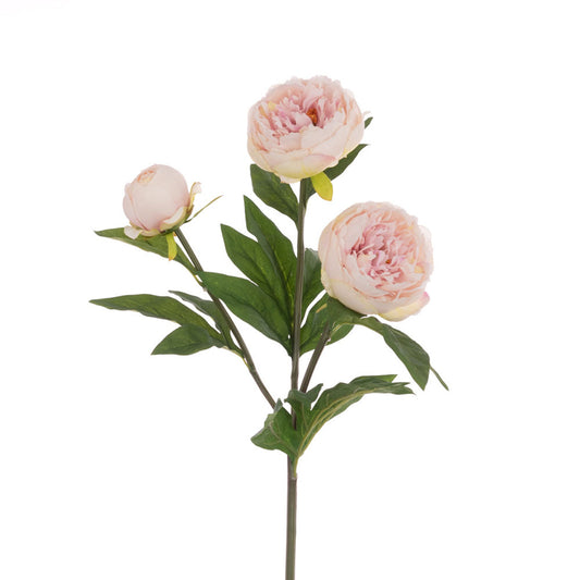 Peony Spray - LIGHT PINK
